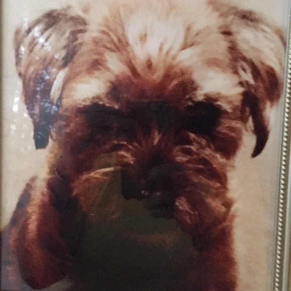 Meet your Posher, Elyse - Picture 1 of 4